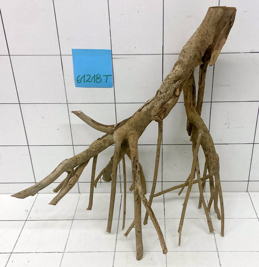 61218T Talawa Wurzel Holz