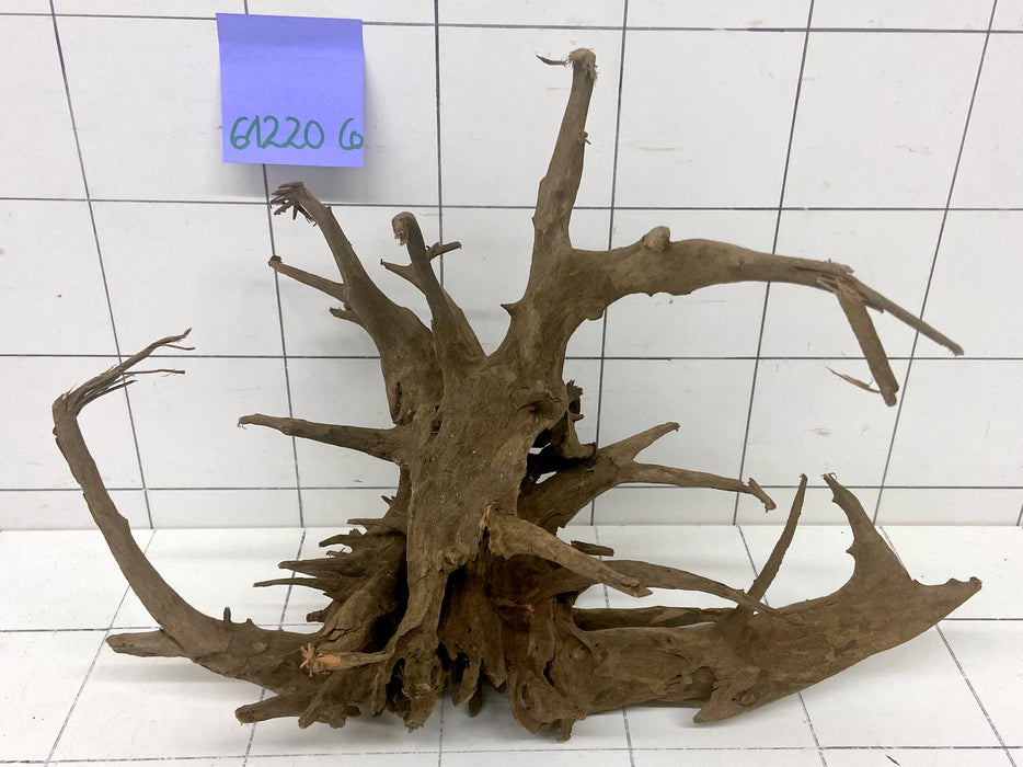 61220CO - Corbo Wurzel Holz