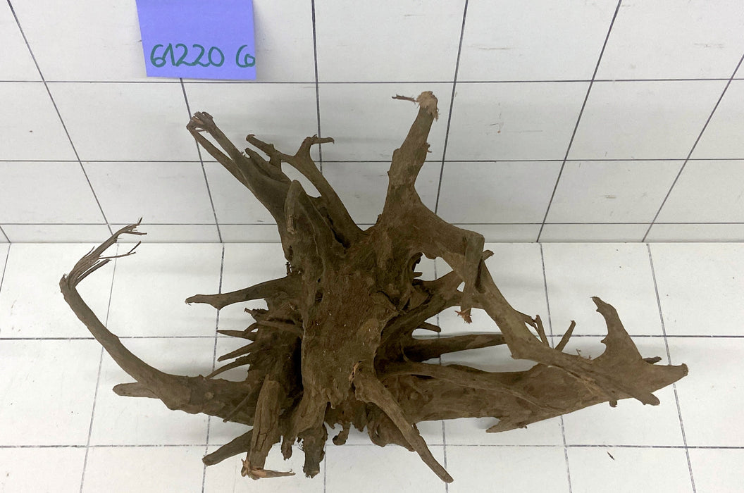 61220CO - Corbo Wurzel Holz