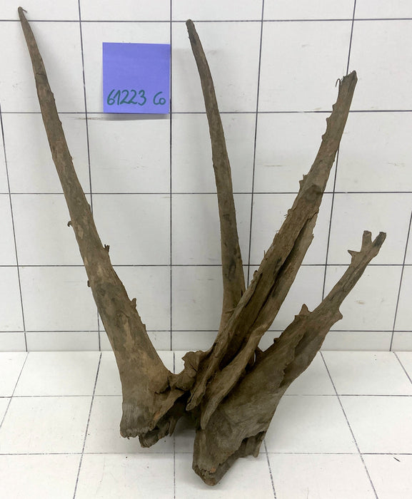 61223CO - Corbo Wurzel Holz