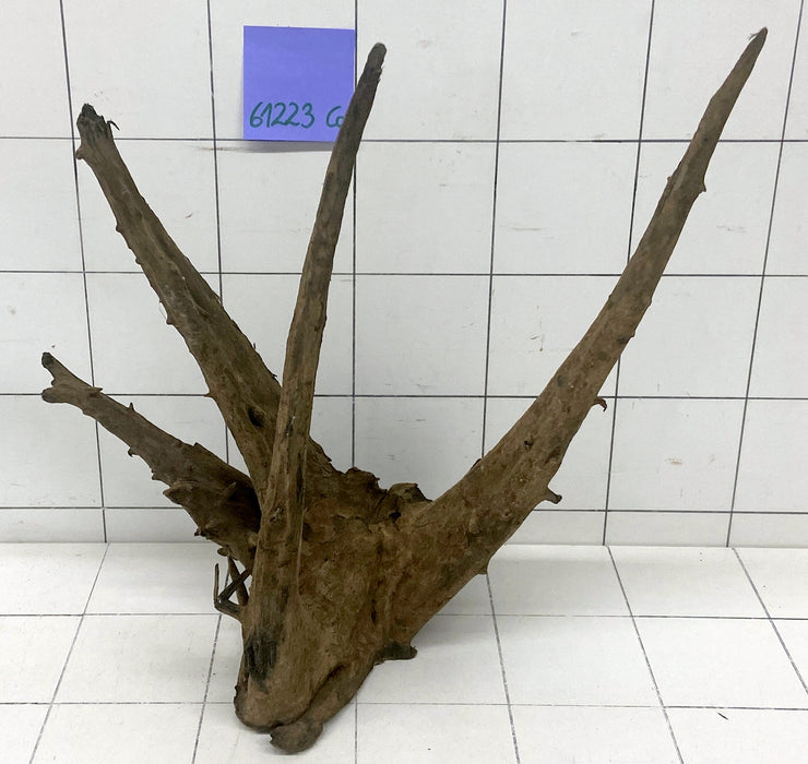 61223CO - Corbo Wurzel Holz