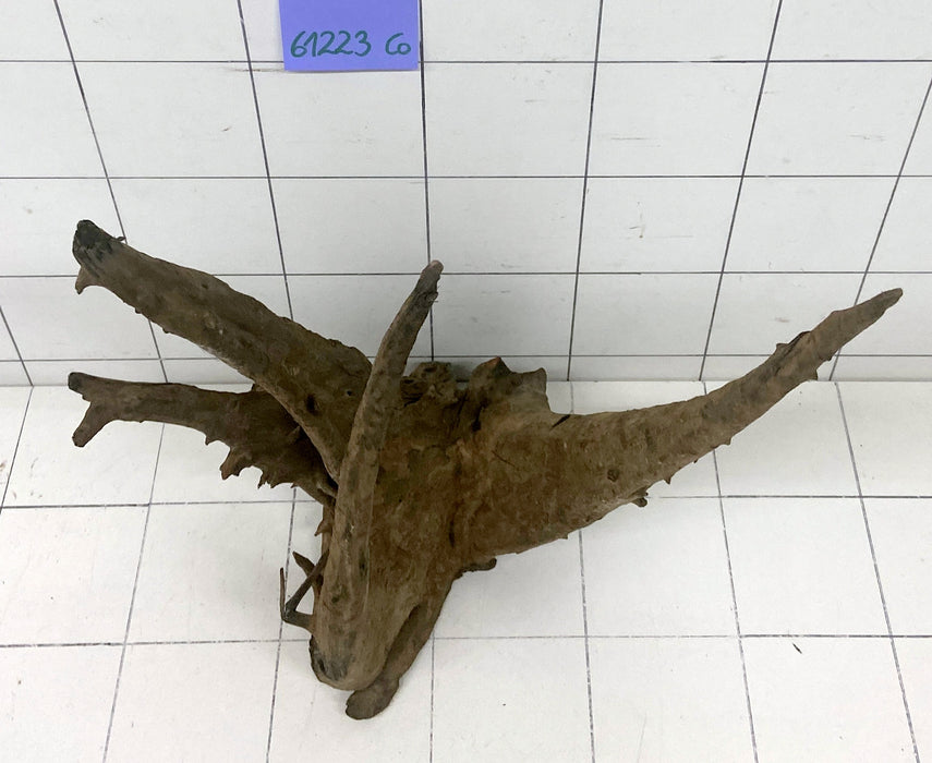 61223CO - Corbo Wurzel Holz