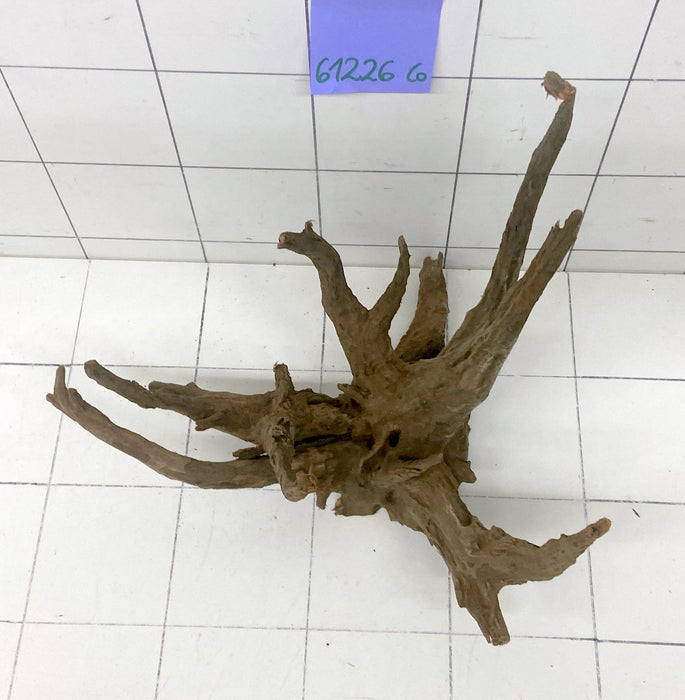 61226CO - Corbo Wurzel Holz