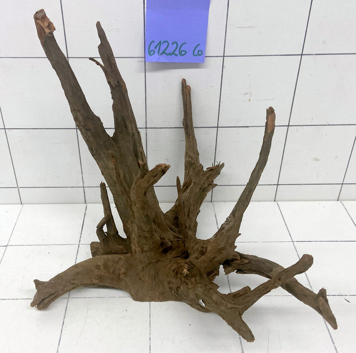 61226CO - Corbo Wurzel Holz