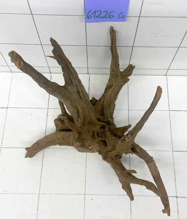 61226CO - Corbo Wurzel Holz