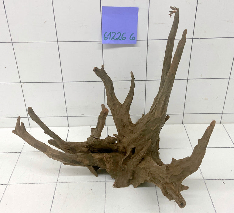 61226CO - Corbo Wurzel Holz