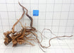 61242Cu - Curlwood Wurzel Holz