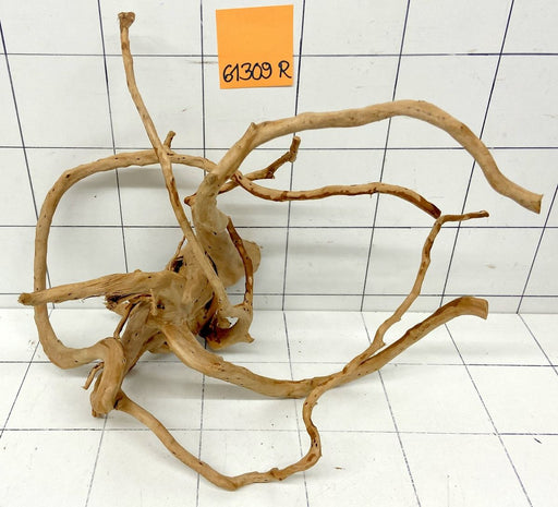 61309R Fingerwood / Rote Moorwurzel Holz