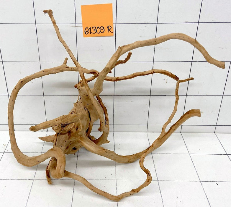61309R Fingerwood / Rote Moorwurzel Holz