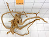 61309R Fingerwood / Rote Moorwurzel Holz
