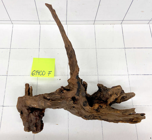 61400F Flussholz / Driftwood / Flusswurzel
