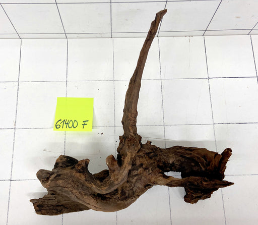61400F Flussholz / Driftwood / Flusswurzel