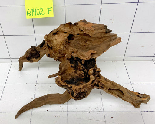 61402F Flussholz / Driftwood / Flusswurzel