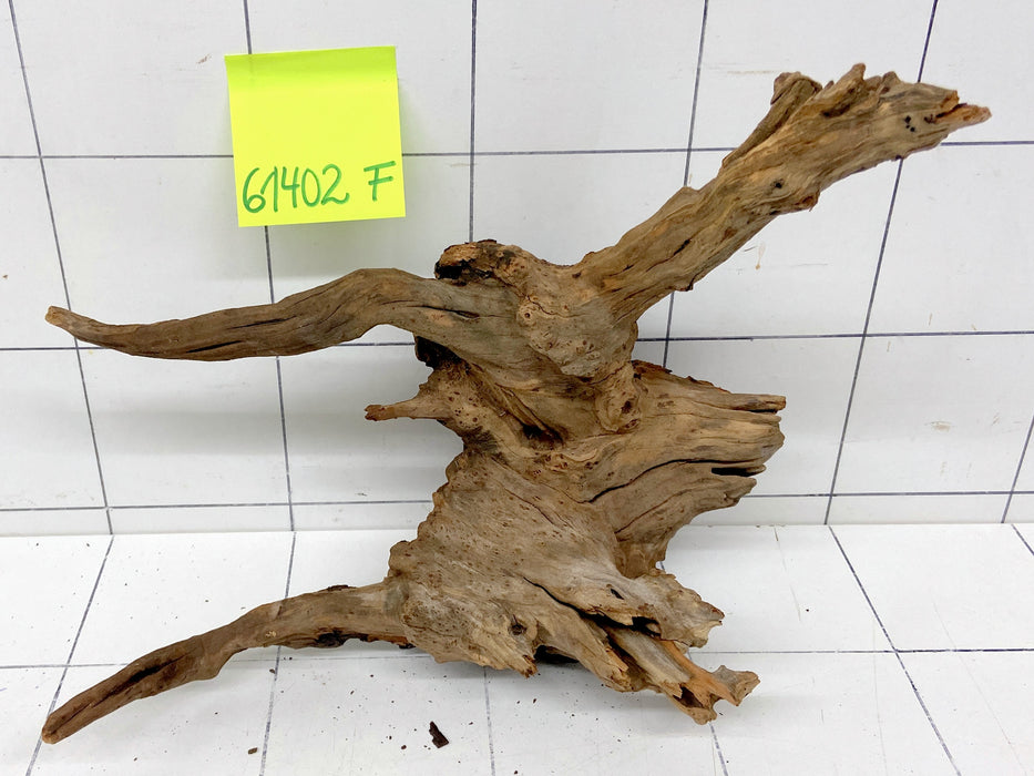 61402F Flussholz / Driftwood / Flusswurzel
