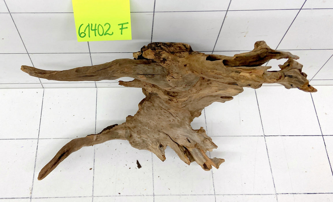61402F Flussholz / Driftwood / Flusswurzel