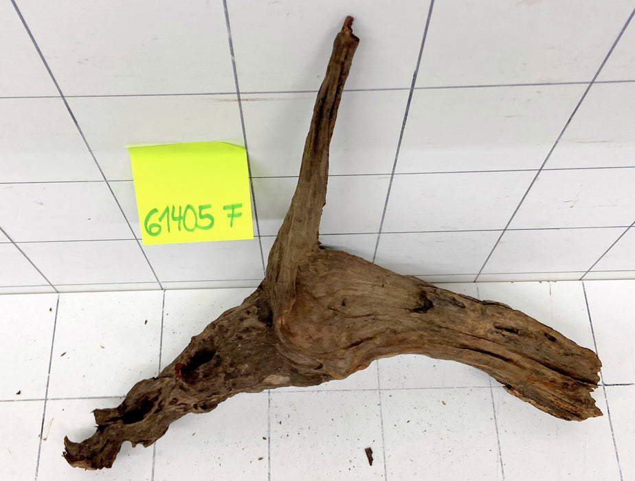 61405F Flussholz / Driftwood / Flusswurzel
