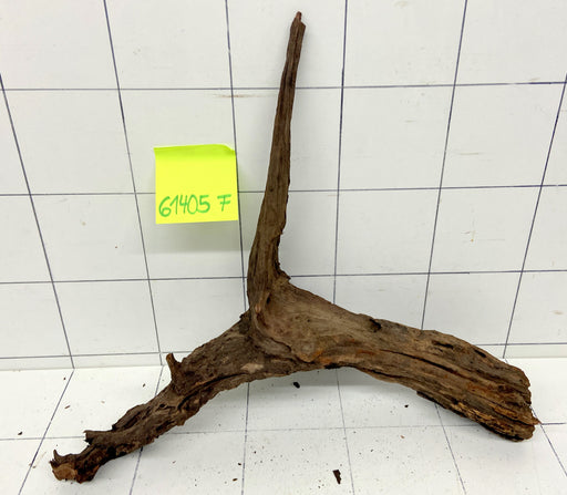 61405F Flussholz / Driftwood / Flusswurzel