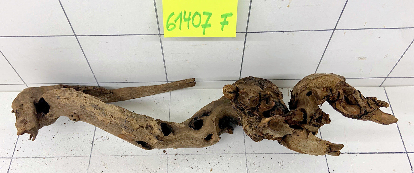 61407F Flussholz / Driftwood / Flusswurzel