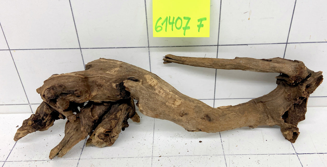 61407F Flussholz / Driftwood / Flusswurzel