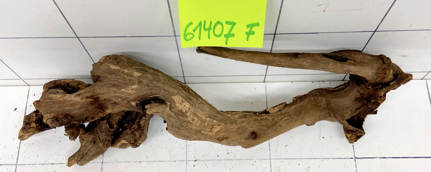 61407F Flussholz / Driftwood / Flusswurzel