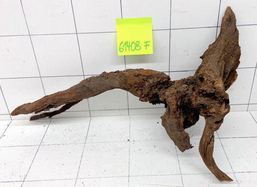 61408F Flussholz / Driftwood / Flusswurzel
