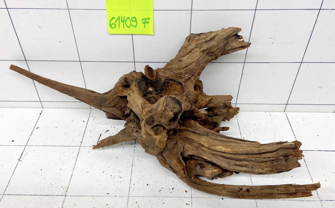 61409F Flussholz / Driftwood / Flusswurzel