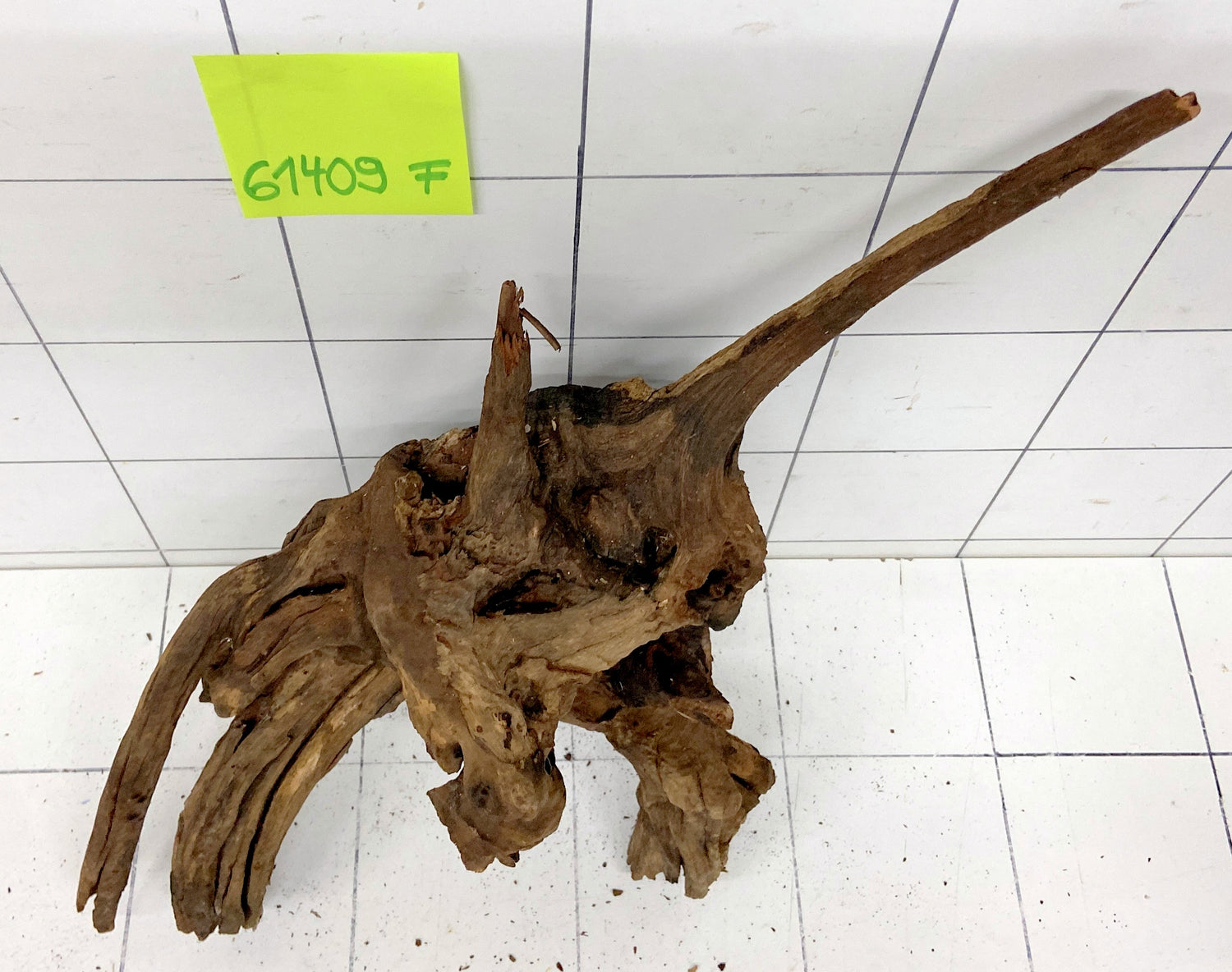61409F Flussholz / Driftwood / Flusswurzel