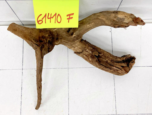 61410F Flussholz / Driftwood / Flusswurzel