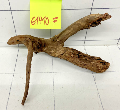 61410F Flussholz / Driftwood / Flusswurzel