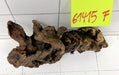 61415F Flussholz / Driftwood / Flusswurzel