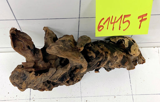 61415F Flussholz / Driftwood / Flusswurzel