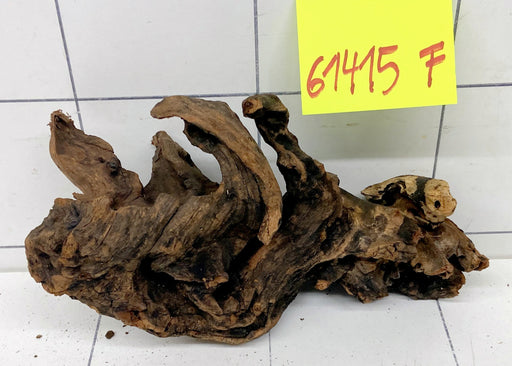 61415F Flussholz / Driftwood / Flusswurzel