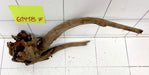 61418F Flussholz / Driftwood / Flusswurzel