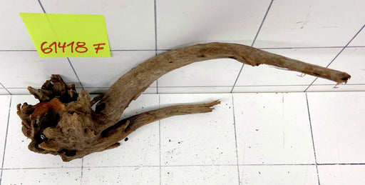 61418F Flussholz / Driftwood / Flusswurzel