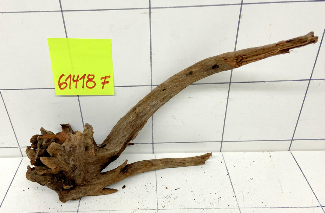 61418F Flussholz / Driftwood / Flusswurzel