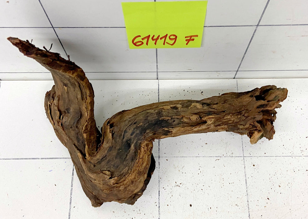 61419F Flussholz / Driftwood / Flusswurzel