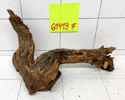 61419F Flussholz / Driftwood / Flusswurzel