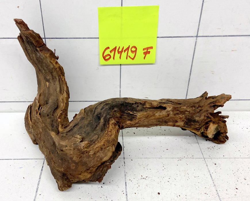 61419F Flussholz / Driftwood / Flusswurzel