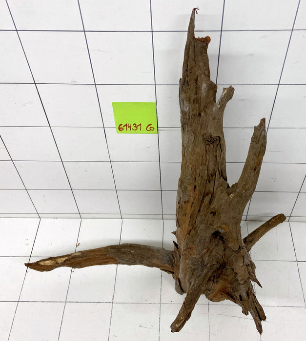61431CO - Corbo Wurzel Holz XL
