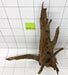 61431CO - Corbo Wurzel Holz XL