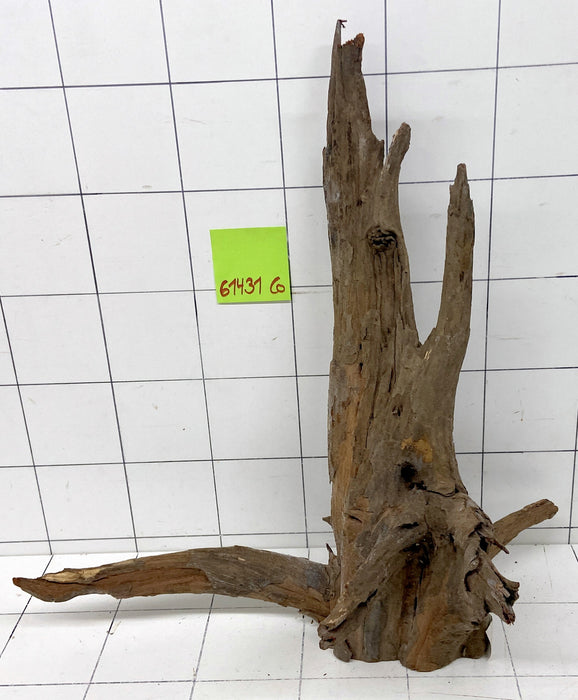 61431CO - Corbo Wurzel Holz XL
