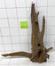 61431CO - Corbo Wurzel Holz XL