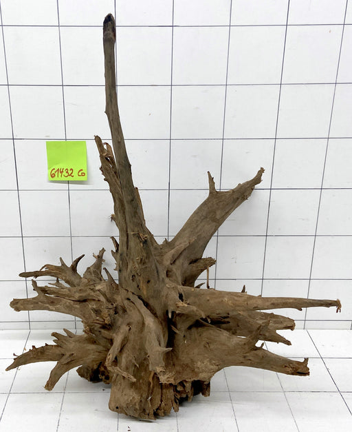 61432CO - Corbo Wurzel Holz XL