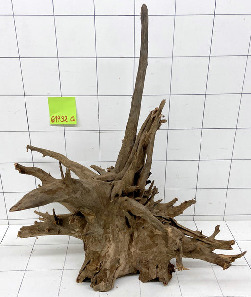 61432CO - Corbo Wurzel Holz XL