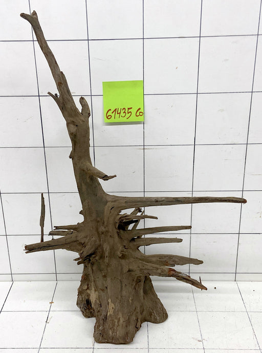 61435CO - Corbo Wurzel Holz XL