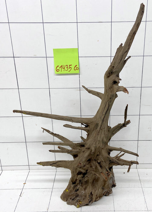 61435CO - Corbo Wurzel Holz XL