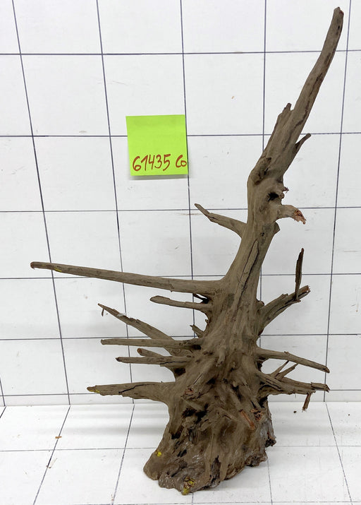 61435CO - Corbo Wurzel Holz XL