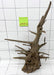 61435CO - Corbo Wurzel Holz XL