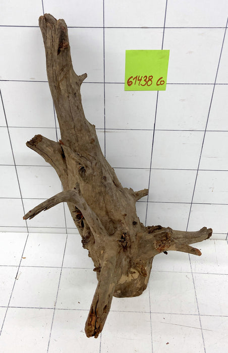 61438CO - Corbo Wurzel Holz XL