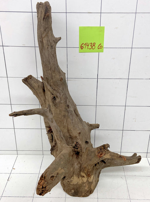 61438CO - Corbo Wurzel Holz XL